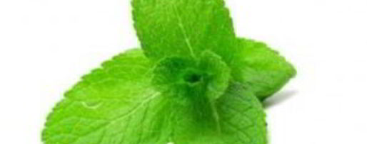 Шаг 2: тыквенного мохито