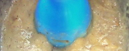 Шаг 5: коктейля-десерта на основе молока и фруктов