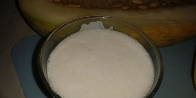 Рецепт молочного коктейля с дыней