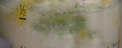 Шаг 2: молочного коктейля с манго