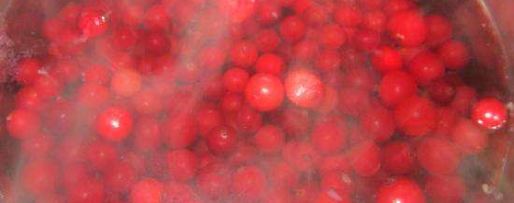 Шаг 1: домашнего морса из клюквы