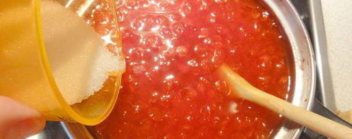 Шаг 4: калинового морса