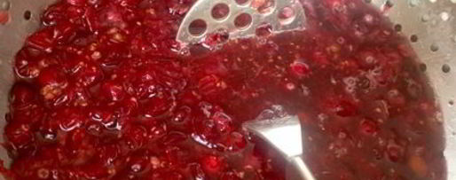 Шаг 1: клюквенного морса витаминчик