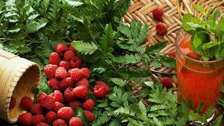 Рецепт Малинового морса