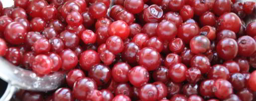 Шаг 1: морса клюквенно-смородиновый