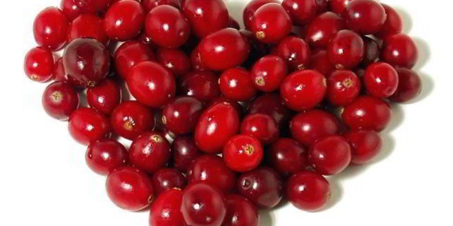 Рецепт морса клюквенного