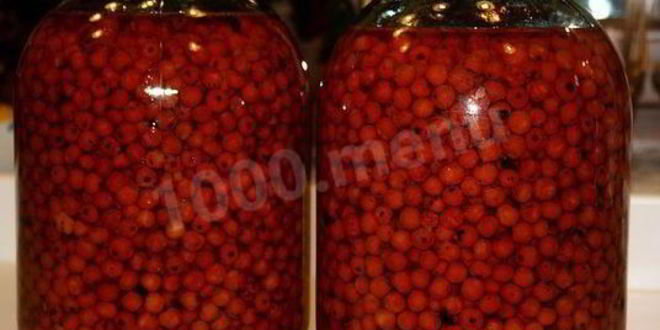 Рецепт черноплодной наливки из рябины