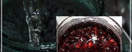 Шаг 12: наливки черносмородиновой