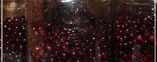 Шаг 6: наливки черносмородиновой