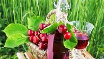 Рецепт Наливки из черешни