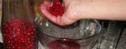 Шаг 1: наливки из калины