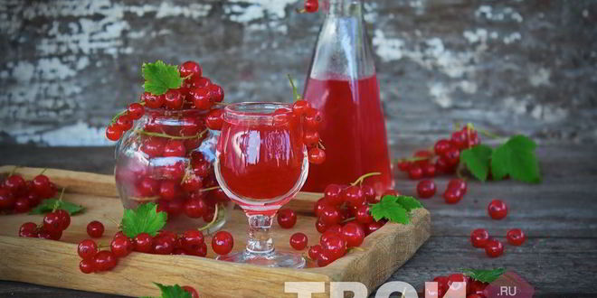 Рецепт наливки из красной смородины