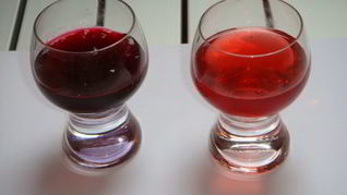 Рецепт Наливки из крыжовника и черной смородины