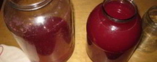 Шаг 6: наливки из крыжовника и черной смородины