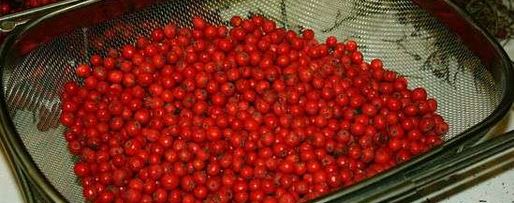 Шаг 8: рябиновой наливки