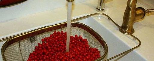 Шаг 10: рябиновой наливки