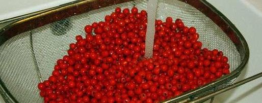 Шаг 11: рябиновой наливки