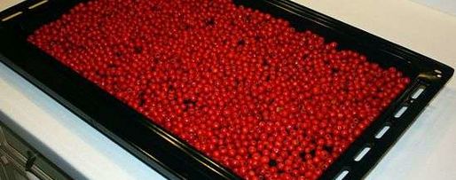 Шаг 13: рябиновой наливки