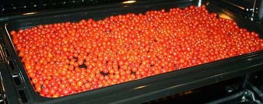 Шаг 17: рябиновой наливки