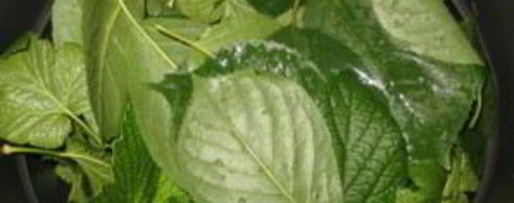 Шаг 1: смородиновой наливки