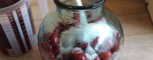 Шаг 4: вишневой наливки на водке