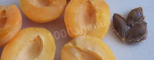 Шаг 3: абрикосовой настойки