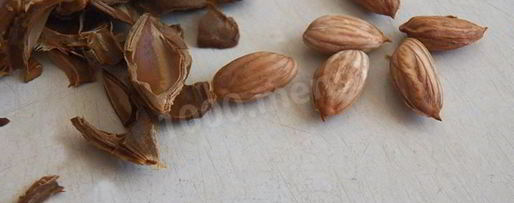 Шаг 4: абрикосовой настойки