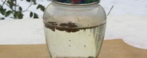 Шаг 1: анисовой настойки на самогоне