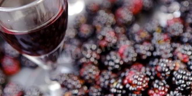 Рецепт домашней настойки на ежевике