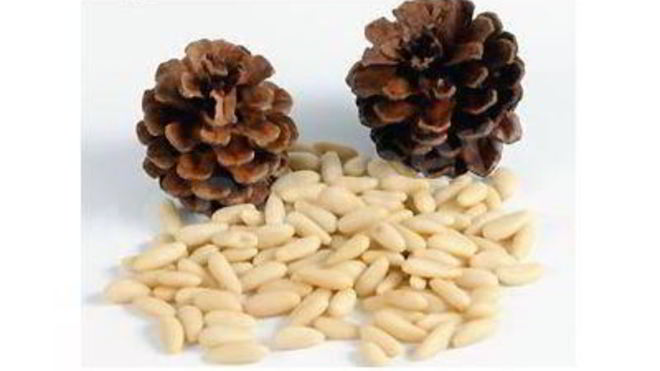 Рецепт Кедровой настойки на орехах