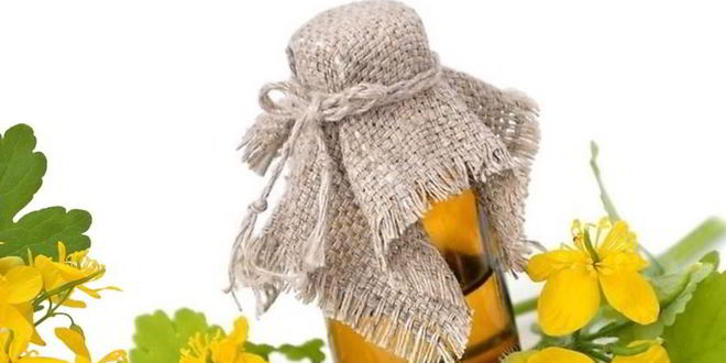 Рецепт настойки чистотела на спирту