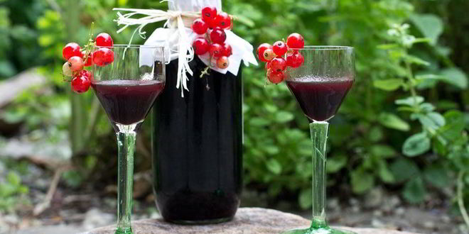 Рецепт настойки из черной смородины