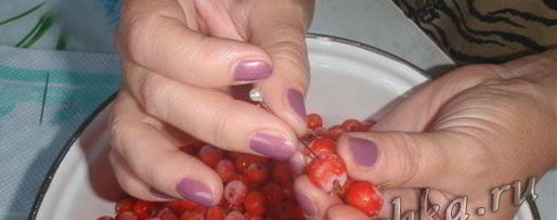 Шаг 1: настойки из рябины