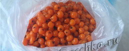 Шаг 6: настойки из рябины