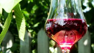 Рецепт Настойки из вишни на спирту Домашняя