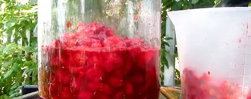 Шаг 1: настойки из вишни на спирту домашняя