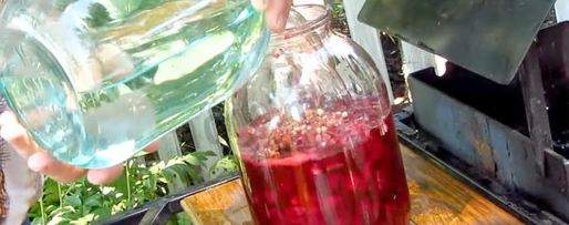 Шаг 3: настойки из вишни на спирту домашняя