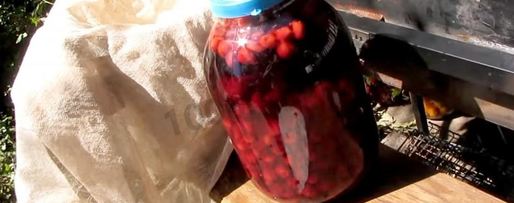 Шаг 4: настойки из вишни на спирту домашняя