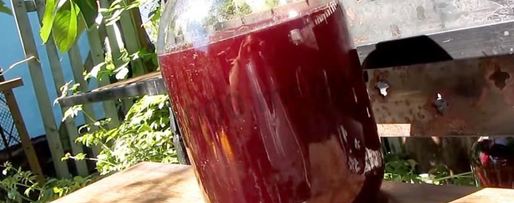 Шаг 6: настойки из вишни на спирту домашняя