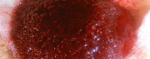 Шаг 6: настойки клюковка