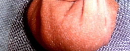 Шаг 7: настойки клюковка