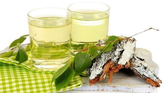 Рецепт Настойки на березовых почках