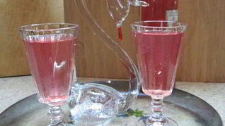 Рецепт Настойки на рябине