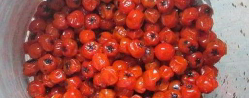 Шаг 2: настойки на рябине