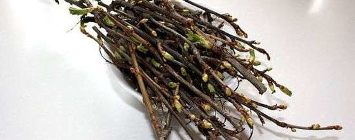 Шаг 7: настойки на смородиновых почках