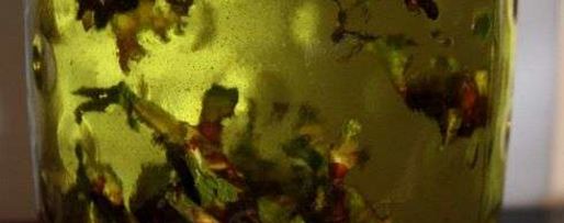 Шаг 30: настойки на смородиновых почках