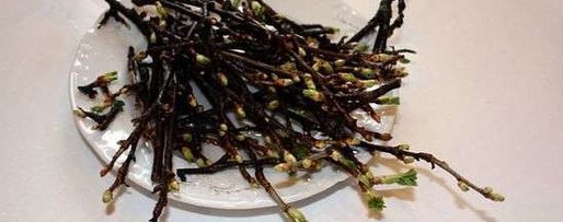 Шаг 10: настойки на смородиновых почках