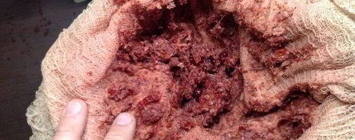 Шаг 10: настойки несмеяновка женская