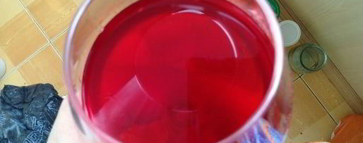 Шаг 13: настойки несмеяновка женская