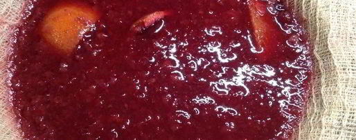 Шаг 4: настойки несмеяновка женская